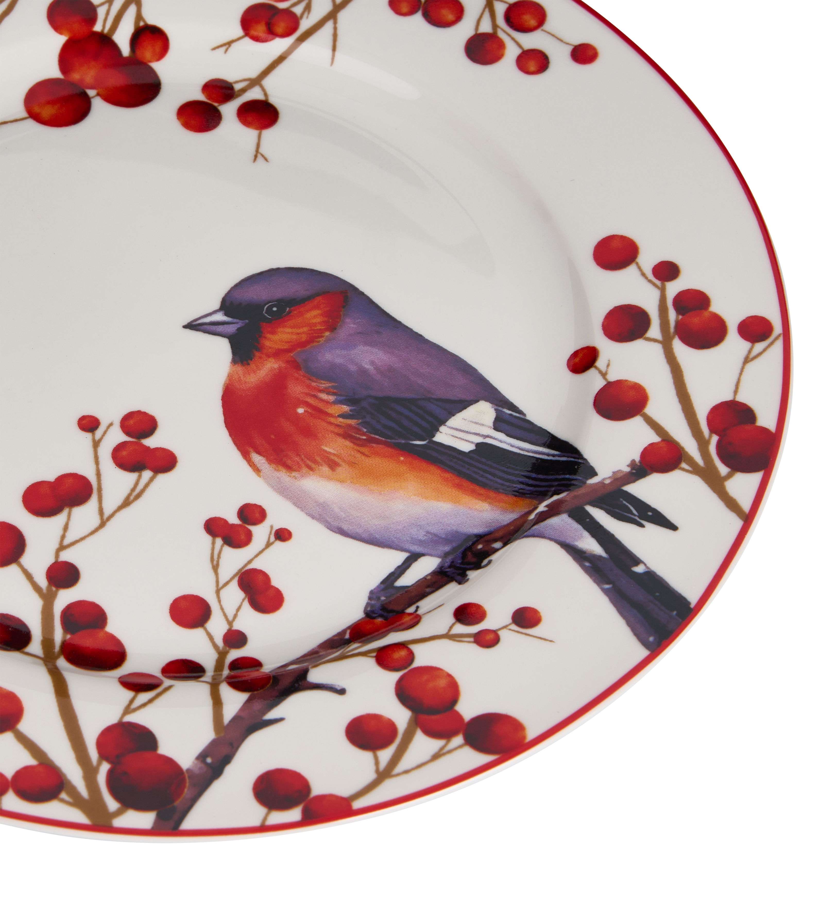 Songs Of Bird Season Dessert Plate - Set of 6