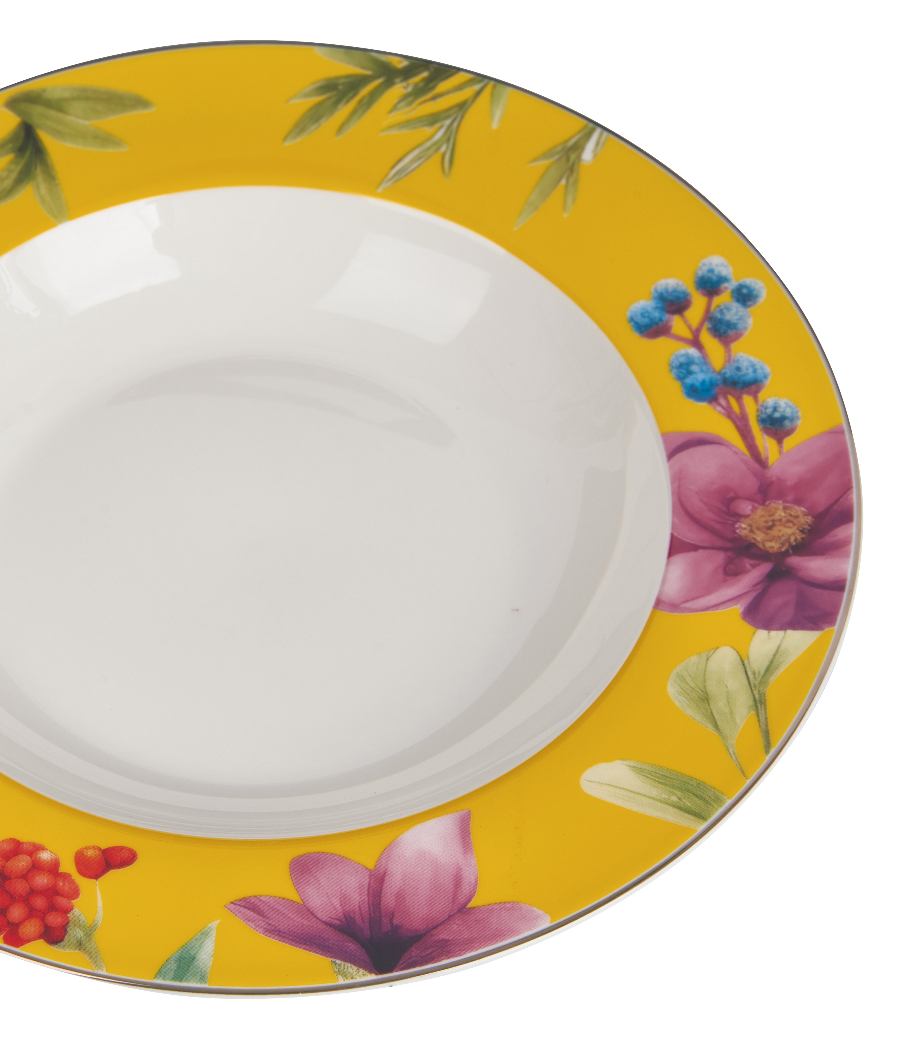 Symphony Garden Soup/Pasta Plate With Gold Rim  - Set of 6